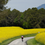 Jacqtours-Girona-Costa-Brava-2022-Bikecat-Cycling-Tours-079