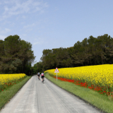 Jacqtours-Girona-Costa-Brava-2022-Bikecat-Cycling-Tours-080