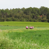 Jacqtours-Girona-Costa-Brava-2022-Bikecat-Cycling-Tours-096