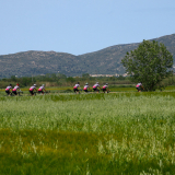 Jacqtours-Girona-Costa-Brava-2022-Bikecat-Cycling-Tours-107