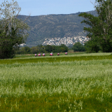 Jacqtours-Girona-Costa-Brava-2022-Bikecat-Cycling-Tours-108