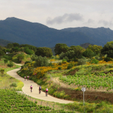 Jacqtours-Girona-Costa-Brava-2022-Bikecat-Cycling-Tours-162