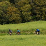 Jacqtours-Private-Tour-2022-Bikecat-Cycling-Tours-044