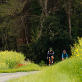 Jacqtours-Private-Tour-2022-Bikecat-Cycling-Tours-049