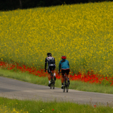 Jacqtours-Private-Tour-2022-Bikecat-Cycling-Tours-051