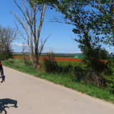 Jacqtours-Private-Tour-2022-Bikecat-Cycling-Tours-082