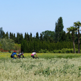 Jacqtours-Private-Tour-2022-Bikecat-Cycling-Tours-084