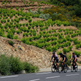 Jacqtours-Private-Tour-2022-Bikecat-Cycling-Tours-133