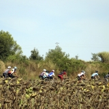 Bikecat-La-Ruta-Mar-i-Muntanya-Cycling-Tour-028