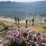 Bikecat-La-Ruta-Mar-i-Muntanya-Cycling-Tour-173-1