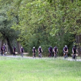 Bikecat-La-Ruta-Mar-i-Muntanya-Cycling-Tour-205-1
