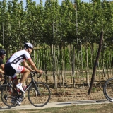 Bikecat-Mariposa-La-Ruta-Mar-i-Muntanya-2017-098