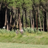 Bikecat-Mariposa-La-Ruta-Mar-i-Muntanya-2017-081