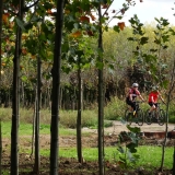 Bikecat-Mariposa-La-Ruta-Mar-i-Muntanya-2017-184