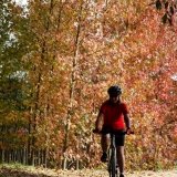 Bikecat-Mariposa-La-Ruta-Mar-i-Muntanya-2017-185