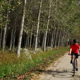 Bikecat-Mariposa-La-Ruta-Mar-i-Muntanya-2017-187