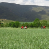 Bikecat-La-Ruta-Tierra-Mariposa-Cycling-Tour-2018-002