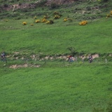 Bikecat-La-Ruta-Tierra-Mariposa-Cycling-Tour-2018-038