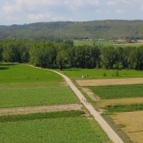 DCIM\100MEDIA\DJI_0061.JPG