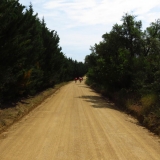 Bikecat-La-Ruta-Tierra-Mariposa-Cycling-Tour-2018-148