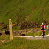 M2-Cantabria-Asturias-2022-Bikecat-Cycling-Tours-035