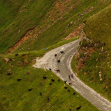 M2-Cantabria-Asturias-2022-Bikecat-Cycling-Tours-053