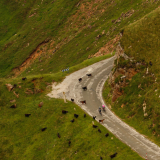M2-Cantabria-Asturias-2022-Bikecat-Cycling-Tours-053