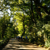 M2-Cantabria-Asturias-2022-Bikecat-Cycling-Tours-081