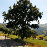 M2-Cantabria-Asturias-2022-Bikecat-Cycling-Tours-088