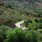 M2_Conan_Tour_2025-018