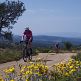 M2_Conan_Tour_2025-043