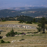 M2_Conan_Tour_2025-050