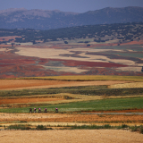 M2_Conan_Tour_2025-062