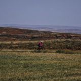 M2_Conan_Tour_2025-071