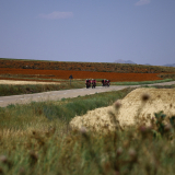 M2_Conan_Tour_2025-083