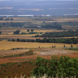 M2_Conan_Tour_2025-085