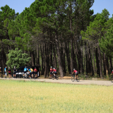 M2_Conan_Tour_2025-095