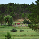 M2_Conan_Tour_2025-098