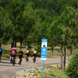 M2_Conan_Tour_2025-101