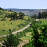 M2_Conan_Tour_2025-145