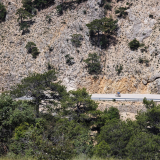 M2_Conan_Tour_2025-175