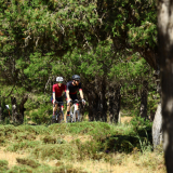 M2_Conan_Tour_2025-197