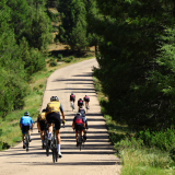 M2_Conan_Tour_2025-198