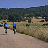 M2_Conan_Tour_2025-214