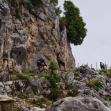 M2_Girona_Experience_Tour-127