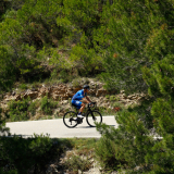 M2_Priorat_Wine_Tour-020