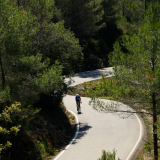M2_Priorat_Wine_Tour-023