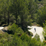 M2_Priorat_Wine_Tour-028