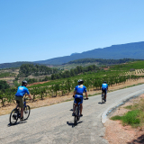 M2_Priorat_Wine_Tour-030