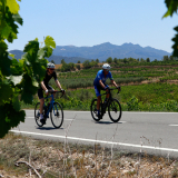 M2_Priorat_Wine_Tour-037